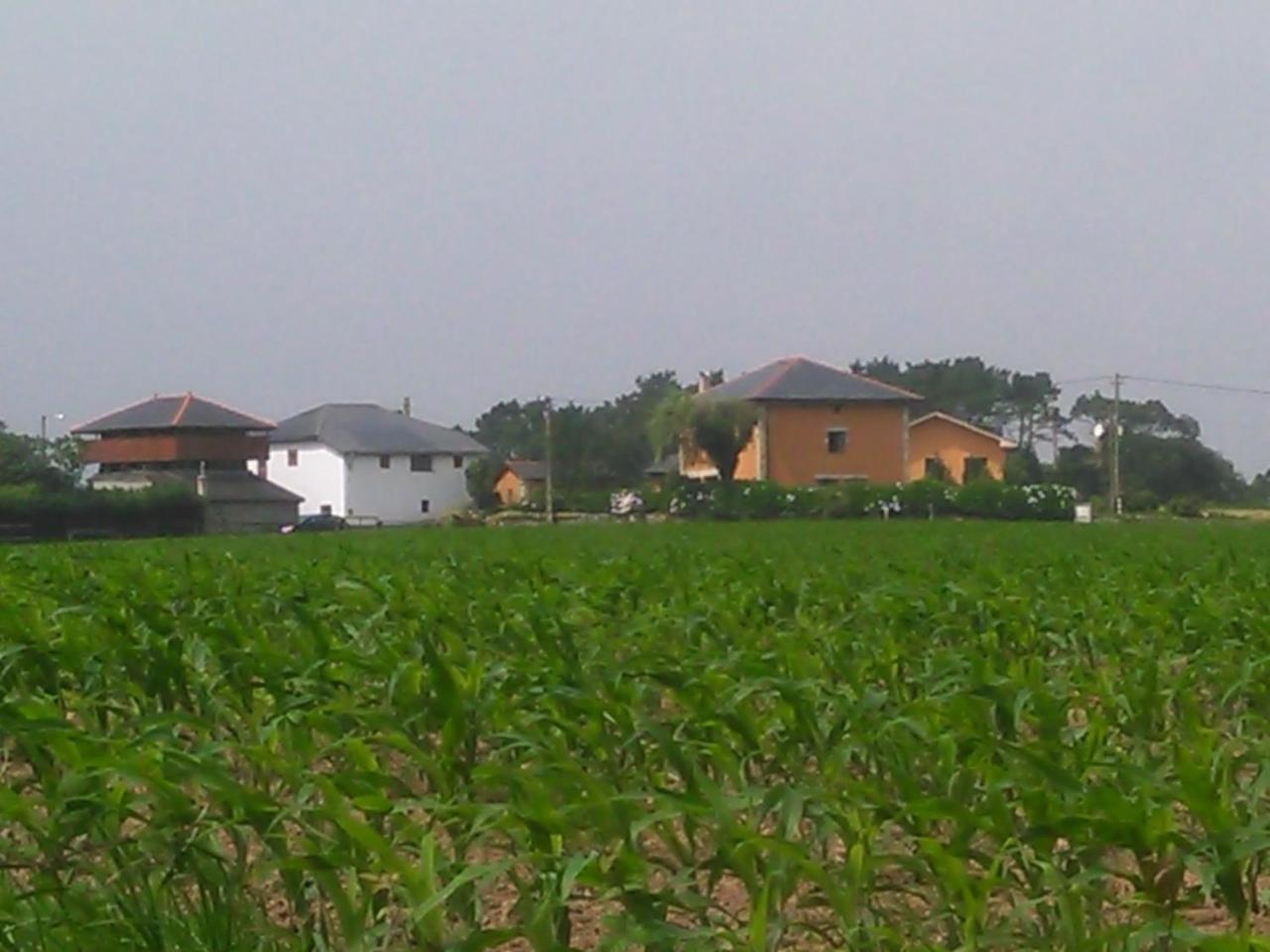 Las Golondrinas Casiellas Exteriör bild